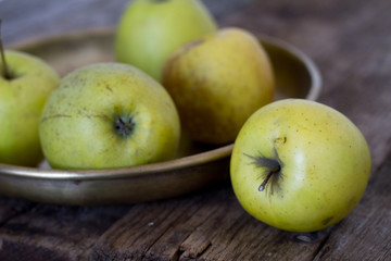 Fresh yellow-green apples lie in an old-fashioned brass plate on an old, textural, rustic table, soft focus.