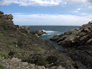 Fototapeta na wymiar Roca y mar (5)