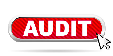 audit icon