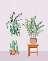 houseplants in macrame hangers and wooden chair