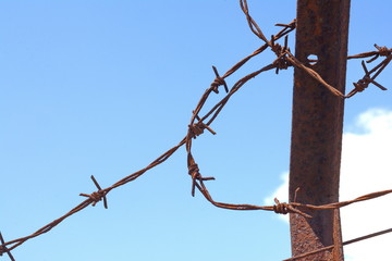 Rusty barbed wire and blue sky background.