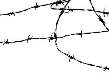 Barbed wire background. Fence illustration isolated on white. silhouette of the barbed wire. 