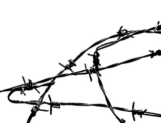 Barbed wire background. Fence illustration isolated on white. silhouette of the barbed wire. 