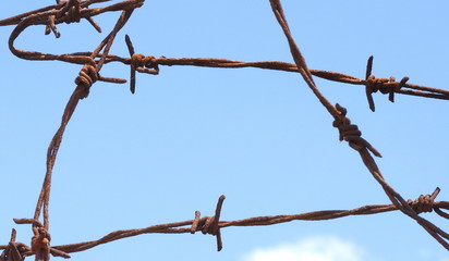 Rusty barbed wire and blue sky background.