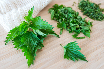 Urtica dioica (common nettle, stinging nettle, nettle leaf, or just a stinger) young fresh leaves prepared for cooking