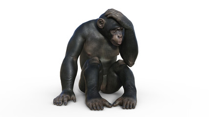 Chimpanzee monkey, primate ape thinking, wild animal isolated on white background, 3D illustration