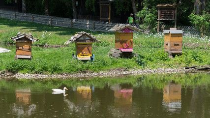 Bienenstöcke / Insektenhotel am Wasser