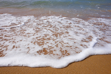 Sea foam at the beach
