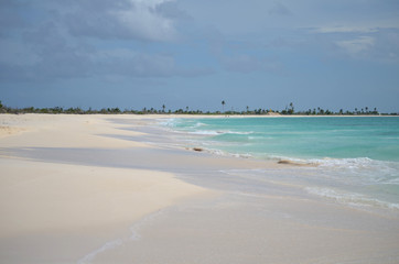 Fototapeta na wymiar beach on the caribbean sea