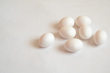 easter eggs on white background
