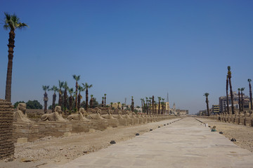 Luxor, Egypt: The avenue of sphinxes leading away from Luxor Temple, built in 1400 BC on the east bank of the Nile River.