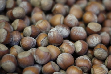 Hazelnuts
