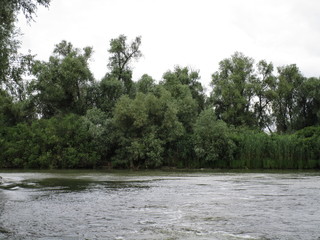 Danube Delta