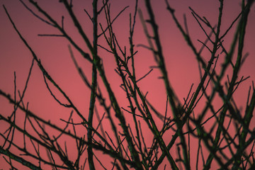 bokeh texture, abstract pattern, backdrop