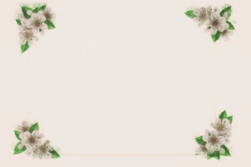 mockup, with hand-painted flowers, with beautiful flowers. Blank space or background for text space. Space for vector lustration. Template for a poster, cards, banner.