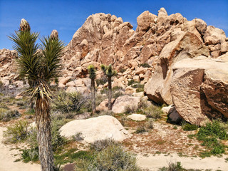 created by dji camera