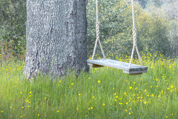 Tree Swing With Yellow Spring Flowers and Oak Trunk