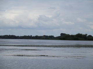 Danube Delta