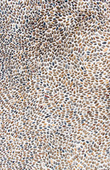 Pebble Texture/Backgound