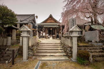 Cherry blossom tree in early stages of bloom hangs over steps leading to entrance of traditional Japanese shrine in Yoshino