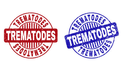 Grunge TREMATODES round stamp seals isolated on a white background. Round seals with grunge texture in red and blue colors. Vector rubber watermark of TREMATODES title inside circle form with stripes.