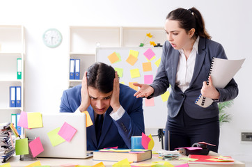 Two colleagues employees working in the office 