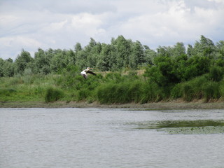Danube Delta