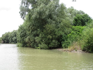 Danube Delta