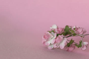 Fototapeta na wymiar Delicate and decorative flower frame on pink background