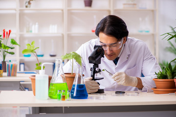 Fototapeta premium Biotechnology chemist working in lab