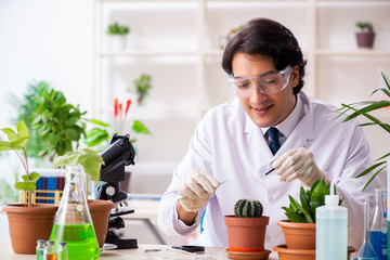 Fototapeta premium Biotechnology chemist working in lab