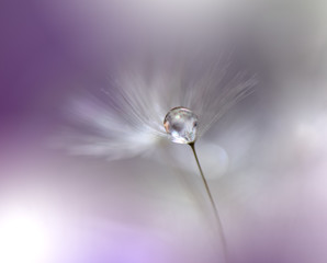 Obraz premium Beautiful Spring Nature Background and dandelion flower.Abstract Macro Photography.Artistic closeup concept.Web Banner for design and website.Amazing Colorful Wallpaper.Violet Color.Floral Art.Plant.