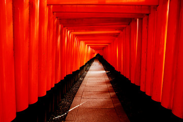 Torii Gate at Fushimi Inari Shrine ,Kyoto ,Japan
