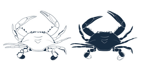Blue Swimmer Crab Silhouette. Hand drawn outline seafood illustration.