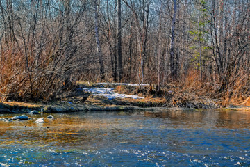 Early Spring landscape melts ice on a small river at the edge of the village.