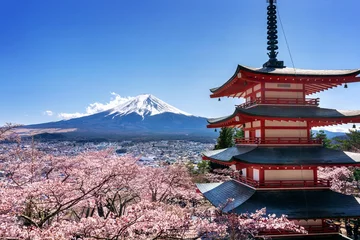 Photo sur Plexiglas Mont Fuji Cerisiers en fleurs au printemps, pagode Chureito et montagne Fuji au Japon.