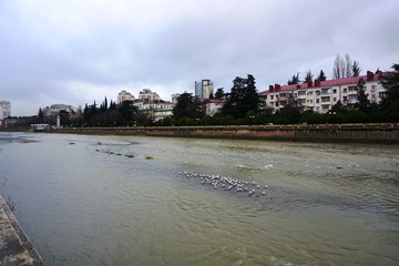 Naklejka premium Sochi River Central District.......