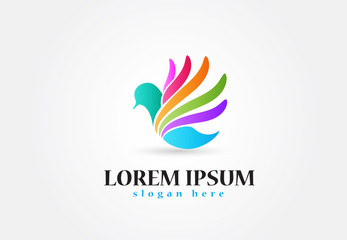 Obraz premium Bird logo vector design