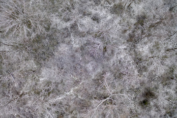 texture of snow