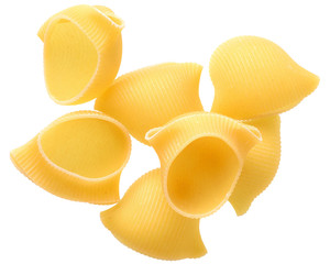 Pipe rigate pasta isolated