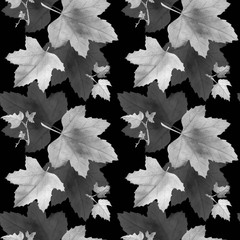 Currants leaf, pattern