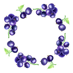 Sweet summer berries