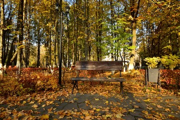 Shop in the Park in autumn