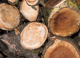 Close up on orderly placed pile of fire wood