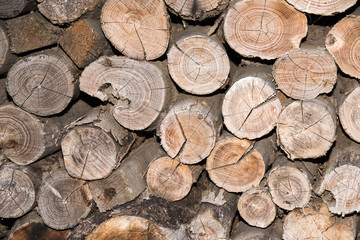 Close up on orderly placed pile of fire wood