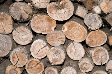 Close up on orderly placed pile of fire wood
