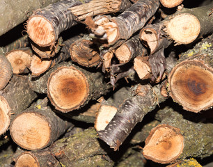 Close up on orderly placed pile of fire wood