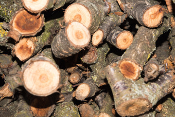 Close up on orderly placed pile of fire wood