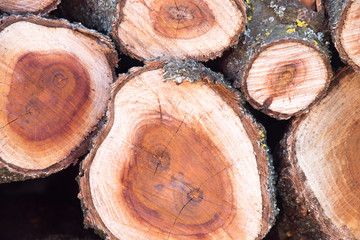 Close up on orderly placed pile of fire wood