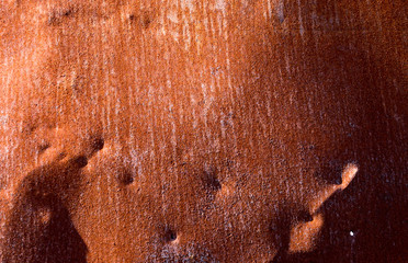 Metal rust background  or texture